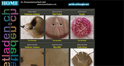 Desktop Screenshot of pardo.schnugis.net